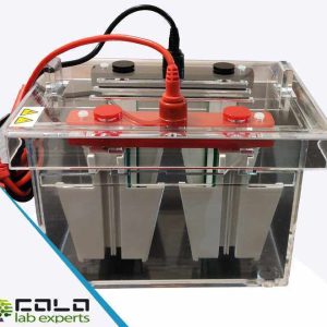 Electrophoresis Vertical Tank