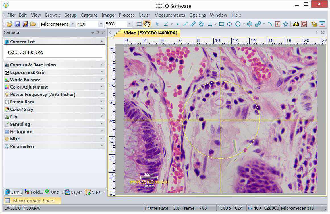OPTIC101TL Biological Trinocular Microscope - Image 3