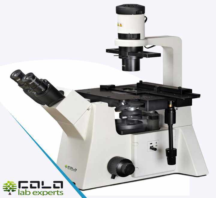 INVE550T Inverted Biological Microscope