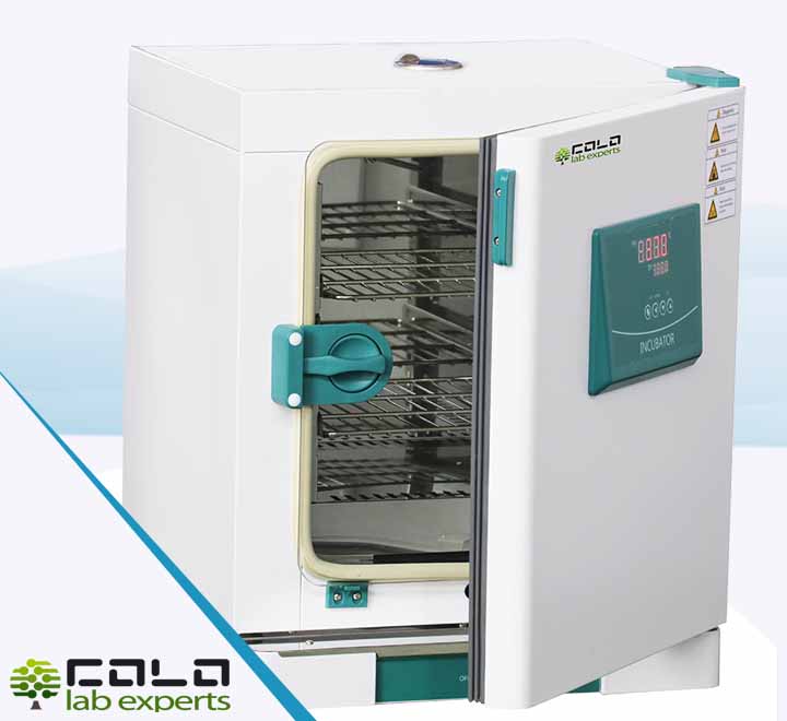 MBIND125 laboratory incubator by COLO.Science — 125 L natural convection incubator with LED display, tempered-glass observation door, and stainless-steel chamber.