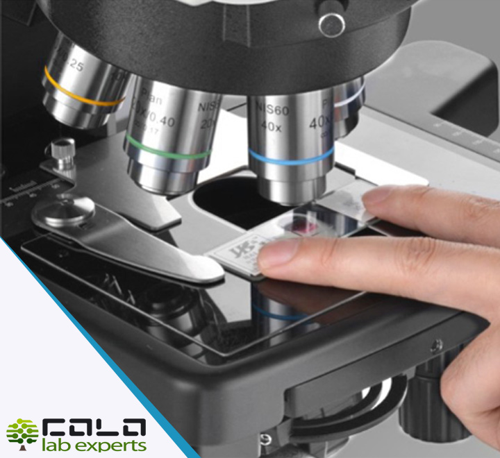 ROMI900 Research Grade Professional Biological Microscope - Image 3