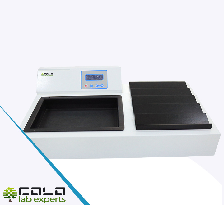 WATIF1 Tissue Flotation Water Bath & Slide Dryer