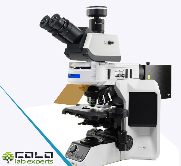 FLUO-UP900 Research Grade Fluorescence Microscope