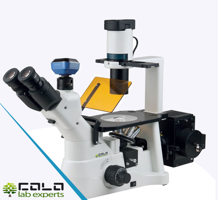 INVE600 Inverted Biological Microscope