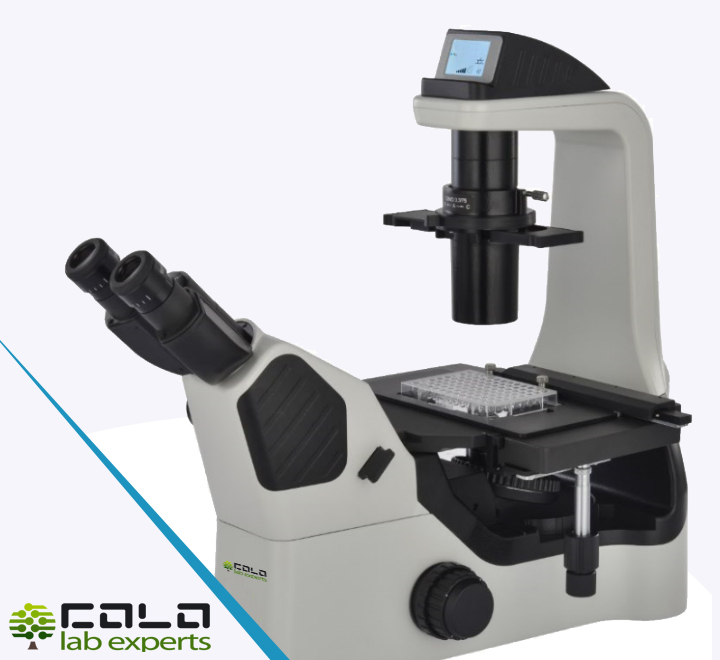 INVE700P Inverted Microscope with phase contrast